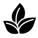 eco conscious materials.webp