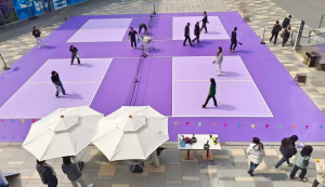 pickleball malaysia.webp