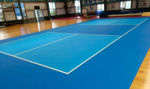 portable pickleball court surface.webp