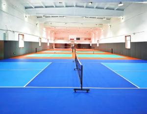 pickleball roll out court.webp