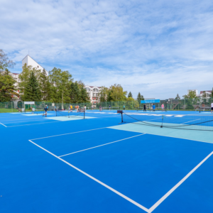 pickleball japan.webp