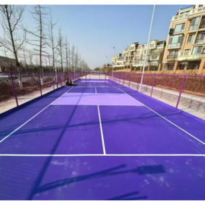 removable pickleball court.webp