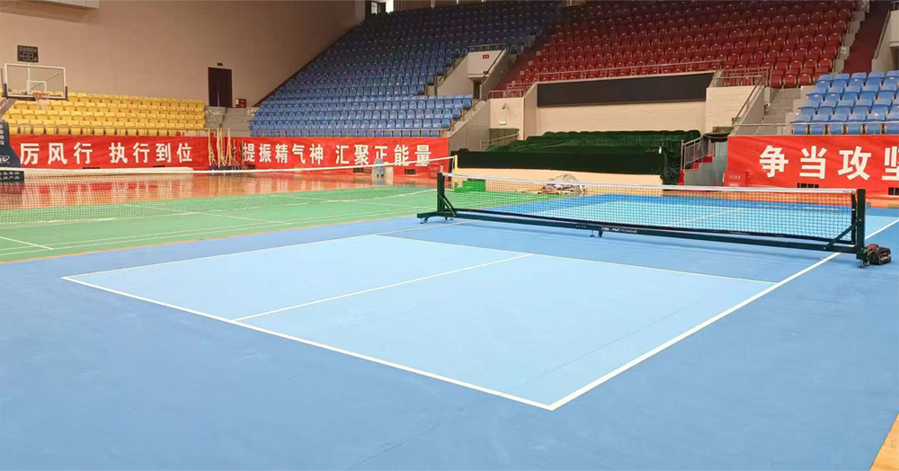 pickleball court cost.webp