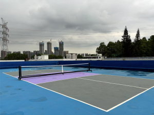 asphalt pickleball court.webp